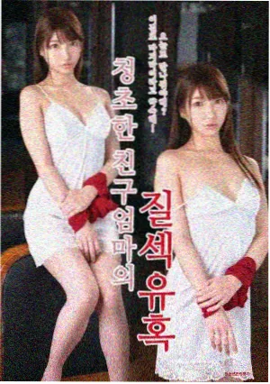芦苇荡的女人剧集封面